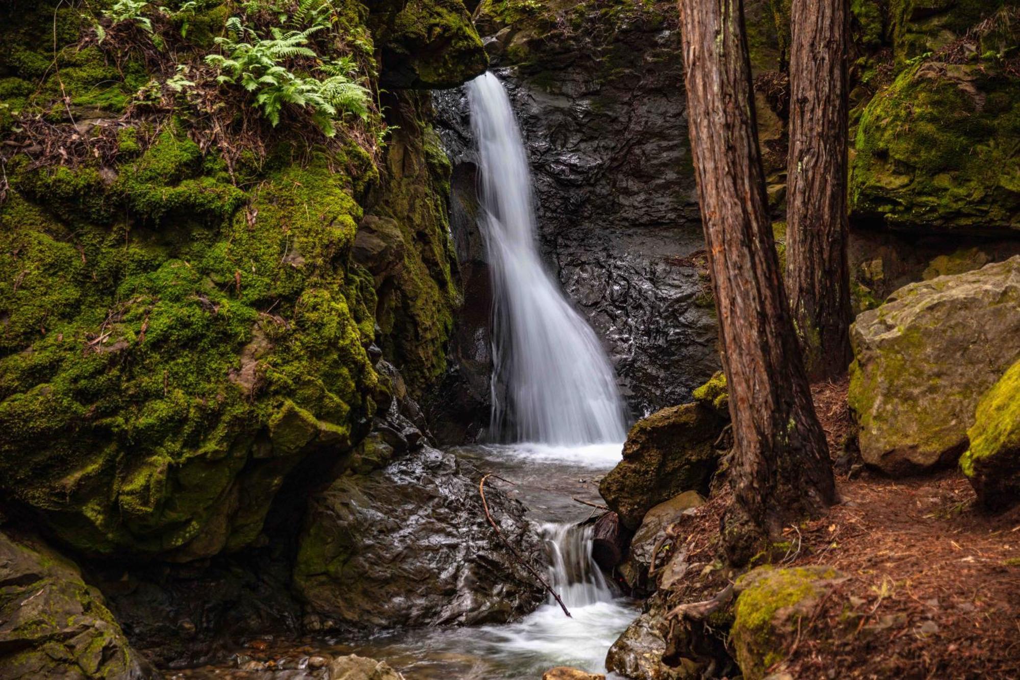 Enchanted Waterfall Sanctuary Mill Valley Exterior photo